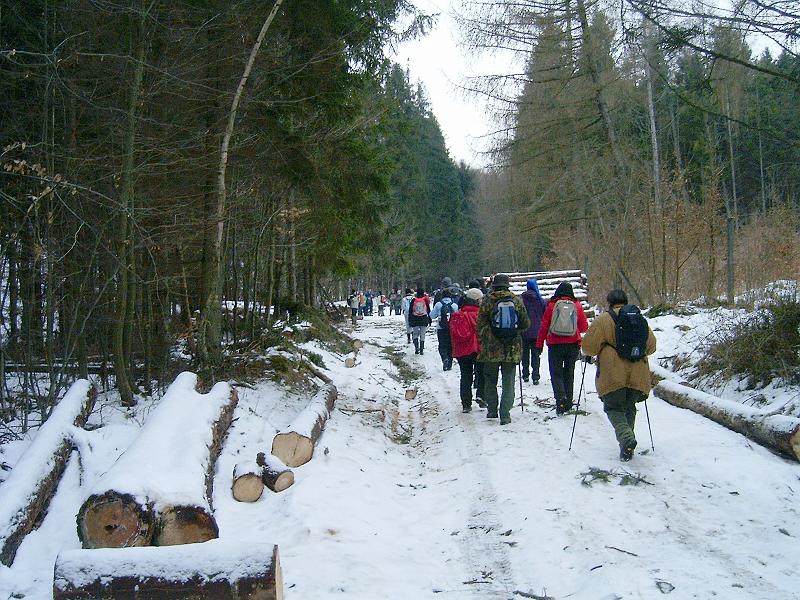 20110219 026.jpg